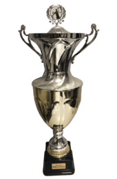 Coupe du championnat de France D1 (2003-2001-1998-1988)